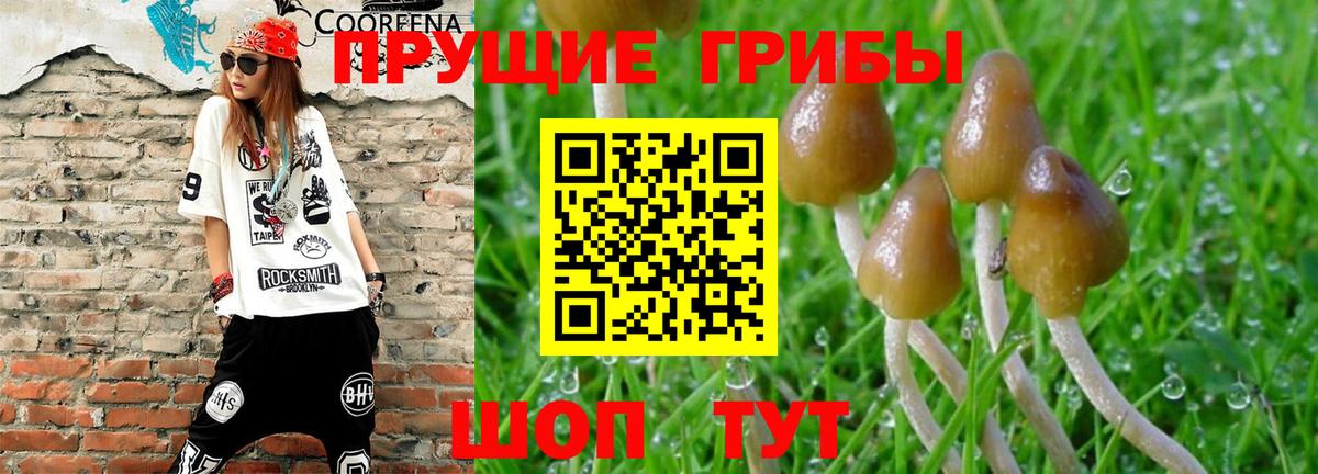 Партизанск  Галлюциногенные грибы мухоморы  Вход с VPN 