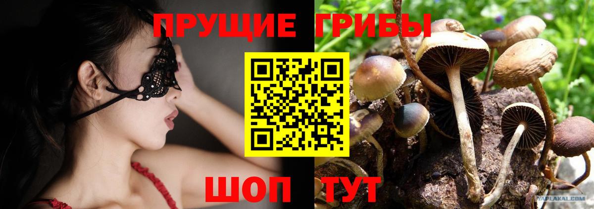 Галлюциногенные грибы Magic Shrooms Партизанск